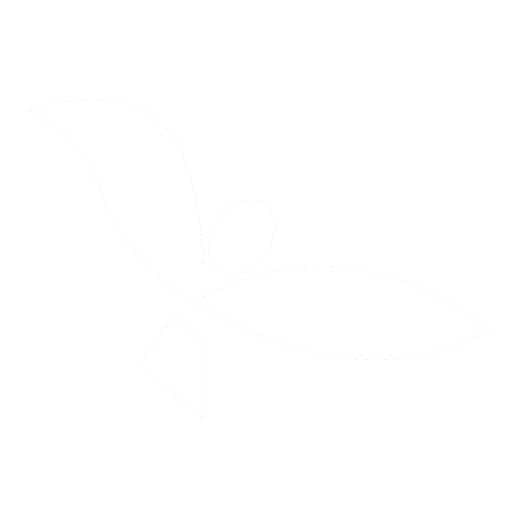Alernus webdesign 